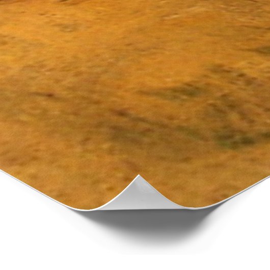 Poster Dennis Miller Bunker's Beached (Coin)