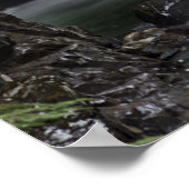 Poster Denny Creek (Coin)