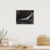 Poster Denny Creek (Cuisine)