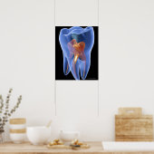 Poster Dent, section transversale transparente d'une mola (Cuisine)