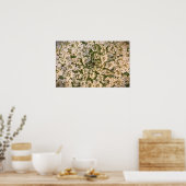 Poster dentelle de la reine Anne, (Cuisine)