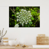 Poster dentelle de la reine Anne, (Cuisine)