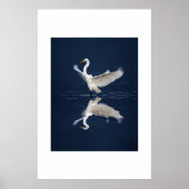 Poster Dentelle sur bleu (Devant)