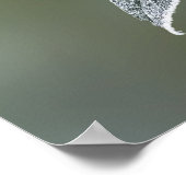 Poster dentelle sur feuille (Coin)