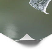 Poster dentelle sur feuille (Coin)