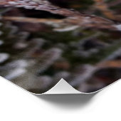 Poster Dentelle sur les brindilles (Coin)