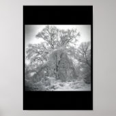 Poster dentelles (Devant)