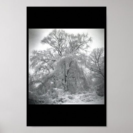 Poster dentelles (Devant)