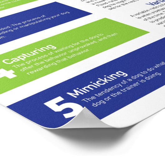 Poster d'entraînement de chien (Coin)