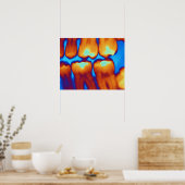 Poster Dents avec remplissage (vert), rayons X colorés. (Cuisine)