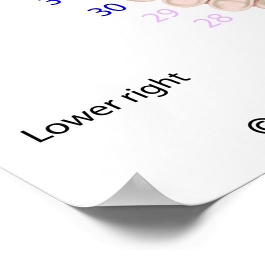 Poster Dents permanentes, dentition pour adultes, numérot (Coin)