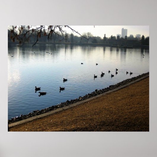 Poster Denver City Park (Devant)