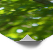 Poster Dépassement de forêt (Coin)