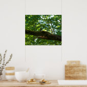 Poster Dépassement de forêt (Cuisine)