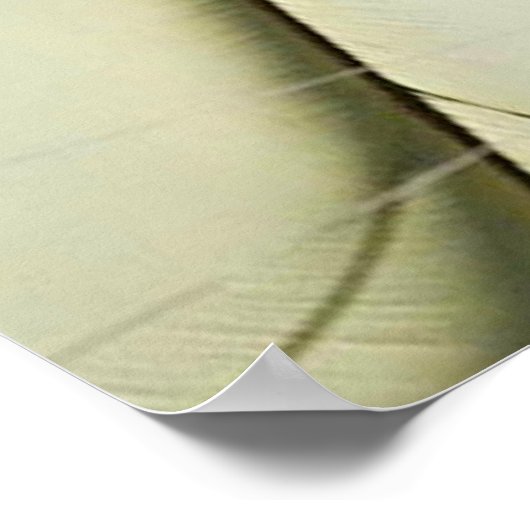 POSTER DÉPLACEMENT (Coin)