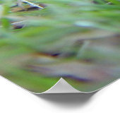 Poster déplacer (Coin)