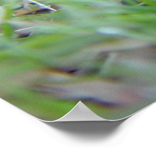 Poster déplacer (Coin)