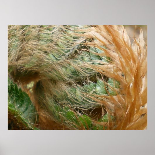 Poster Dépliant (Devant)