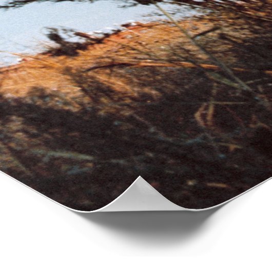 Poster Déploiement Apollo 16 (Coin)