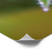 Poster Déposer (Coin)