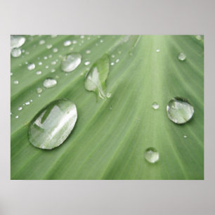 Poster Déposer par glisser