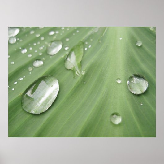 Poster Déposer par glisser (Devant)