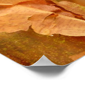 Poster d'érable en écorce de papier (Coin)