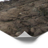 Poster Derby de démolition (Coin)