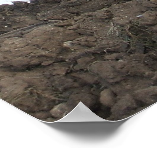 Poster Derby de démolition (Coin)