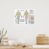 Poster Dermatomes Myotomes Profond tendon Réflexion Poste (Cuisine)