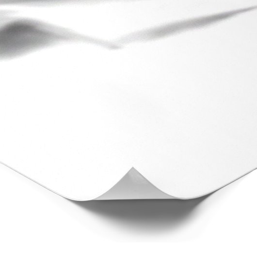 Poster d'Ernesto "Che" Guevara (Coin)