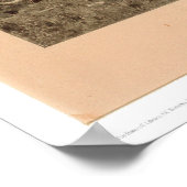 Poster Dernier du Buffalo Bierstadt (0137A) - Non restaur (Coin)