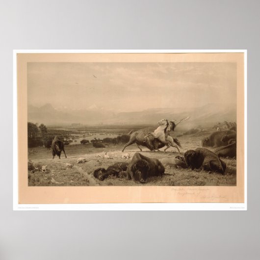 Poster Dernier du Buffalo Bierstadt (0137A) - Non restaur (Devant)