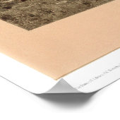 Poster Dernier du Buffalo Bierstadt (0137A) - Restauré (Coin)