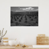 Poster Dernier jour Saints Citrus Orchard près de Riversi (Cuisine)