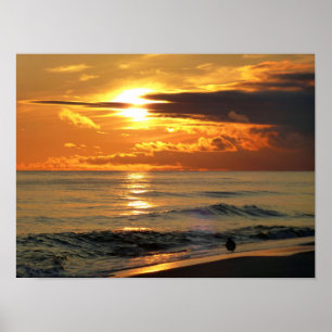 Poster Dernier Sandpiper