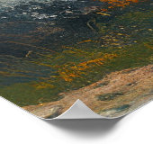 Poster Dernier Scroll Boss Elder - Un Chevalier Noir Colo (Coin)