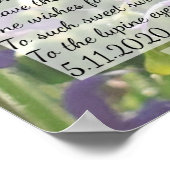 Poster derrière les yeux lupins (Coin)