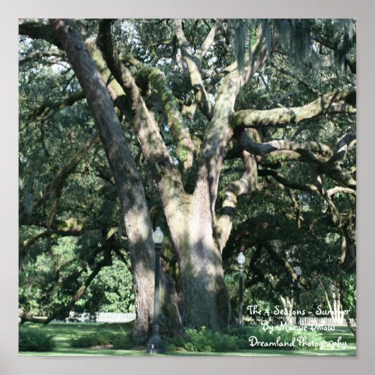 Poster des 4 saisons-été (Devant)