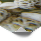 Poster des abeilles et des fleurs (Coin)