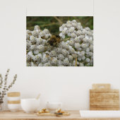 Poster des abeilles et des fleurs (Cuisine)
