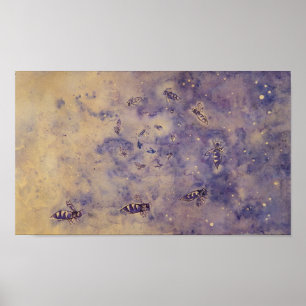 Poster des abeilles spatiales