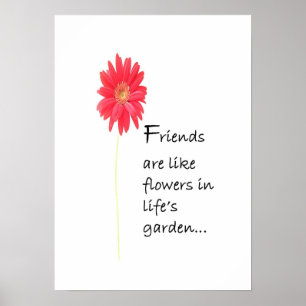 Poster des amis