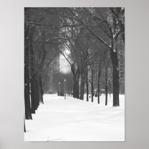 Poster des arbres dans la neige