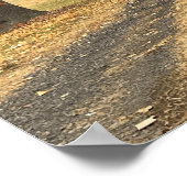 Poster des arbres d'automne (Coin)