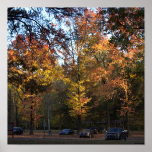 Poster des arbres d'automne