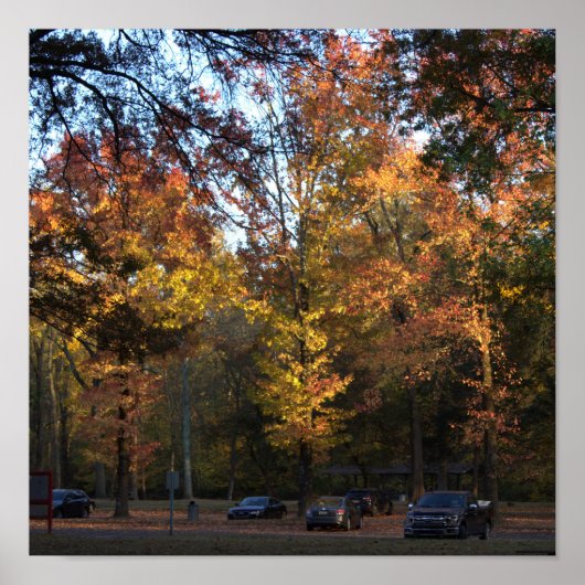 Poster des arbres d'automne (Devant)