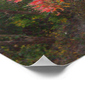 Poster des arbres d'automne (Coin)