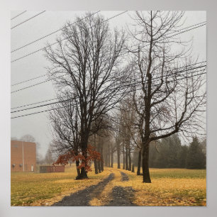 Poster des arbres d'automne