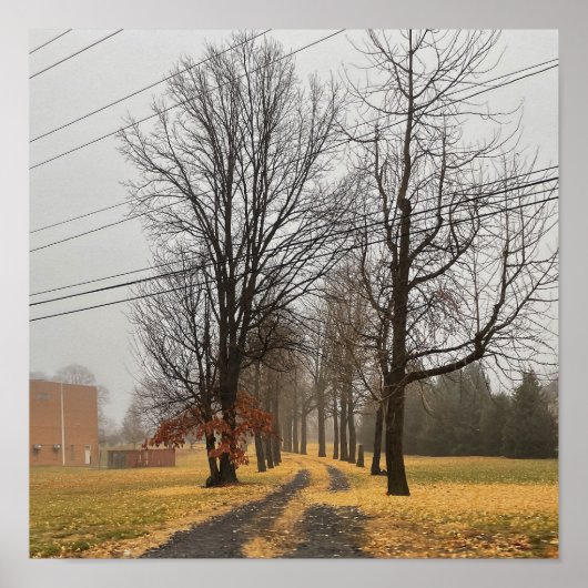 Poster des arbres d'automne (Devant)
